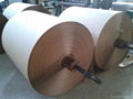 Electrical Insulation paper