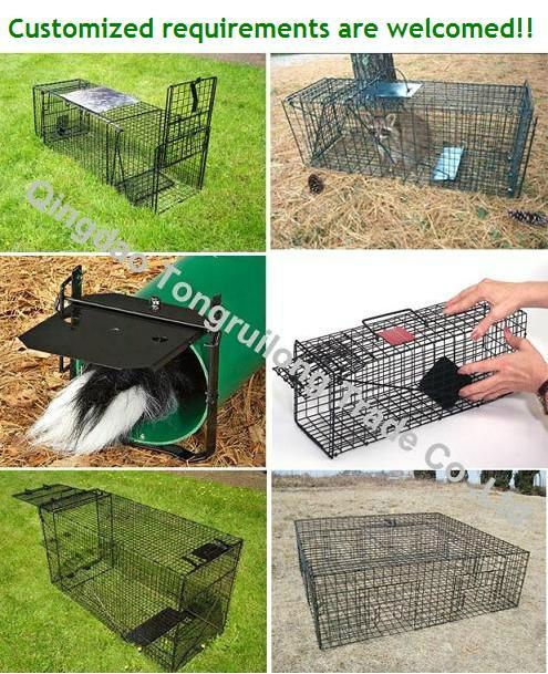 Folding Live Animal Trap 2