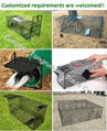 Folding Live Animal Trap