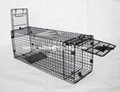Collapsible Live Cage Trap with Rear