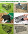 Collapsible Live Cage Trap with Rear Release Door 