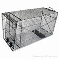 Heavy Duty Folding Dog Cage Trap for hunting