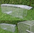 Folding Cage Trap Possum Cat Dog Rabbit