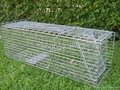 Folding Cage Trap Possum Cat Dog Rabbit