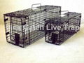 Folding Live Cage Trap