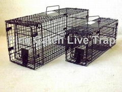 Folding Live Cage Trap