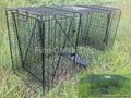 Collapsible Large Animal Cage Trap