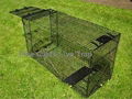 Collapsible Large Size Dog Trap 1