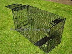 Collapsible Large Size Dog Trap