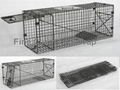 Foldable Cat Trap for Animal Control 