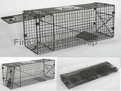 Foldable Cat Trap for Animal Control