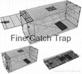 Collapsible Live Capture Trap - Possum Trap