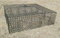 Multi-Catch Pigeon Cage Traps 1