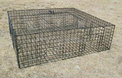 Multi-Catch Pigeon Cage Traps