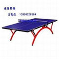 镇海乒乓球桌 4