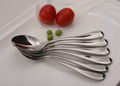 Stainless steel tea spoon set 1