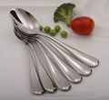 Stainless steel tea spoon set 2