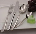 stainless steel silverware set