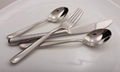 stainless steel silverware set