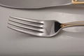 Gold Plated cutlery 4