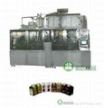 Automatic Carton Filling Machine