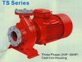 TS Industry Fire Fighting Pump 1