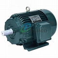 Y Series Three Phase Electric Motor