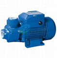 QB Clean Water Pump 1