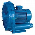 WB Peripheral Ring Blower 1