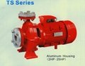 TS Industry Fire Fighting Pump 3