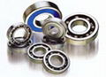 deep groove ball bearings(6300 series)