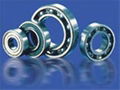 Non-standerd bearings Series