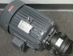 motors and motor pumps