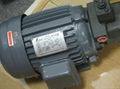 motors and motor pumps 1