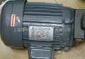 motors and motor pumps 3
