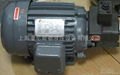 motors and motor pumps 5