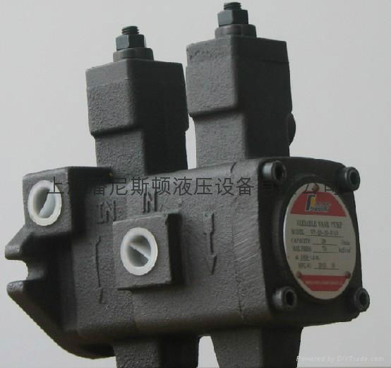 Variable vane pump 4