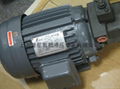 motors and motor pumps 4