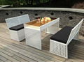 New design rattan furniture