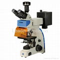 Upright Trinocular Fluorescence Microscope 