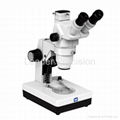 Binocular Zoom Stereo Microscope  1