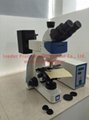 Upright Trinocular Fluorescence Microscope 