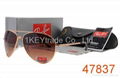 Top Quality Brand Sunglasses             Rayban         Fashion Sunglasses 4