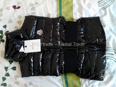 Promotional Jacket 46USD         Down Jacket in Size Medium Top Quality