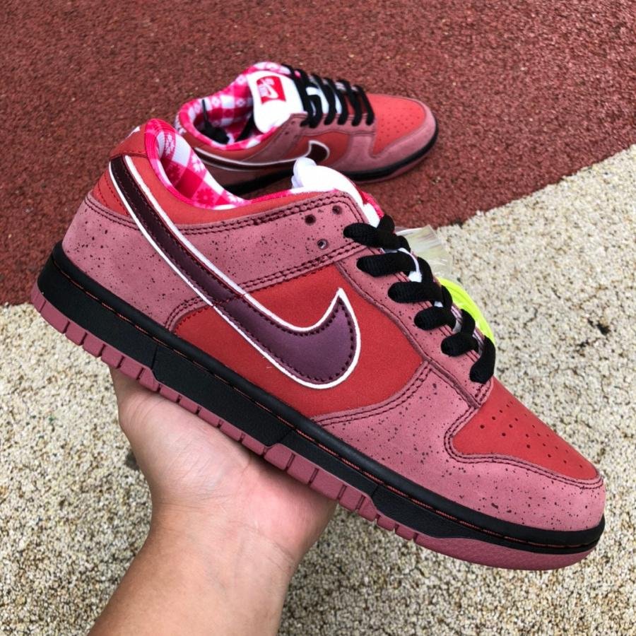 Latest      Dunk SB Shoes Perfect Kicks Red Dunk Shoes Low Board Shoe 3