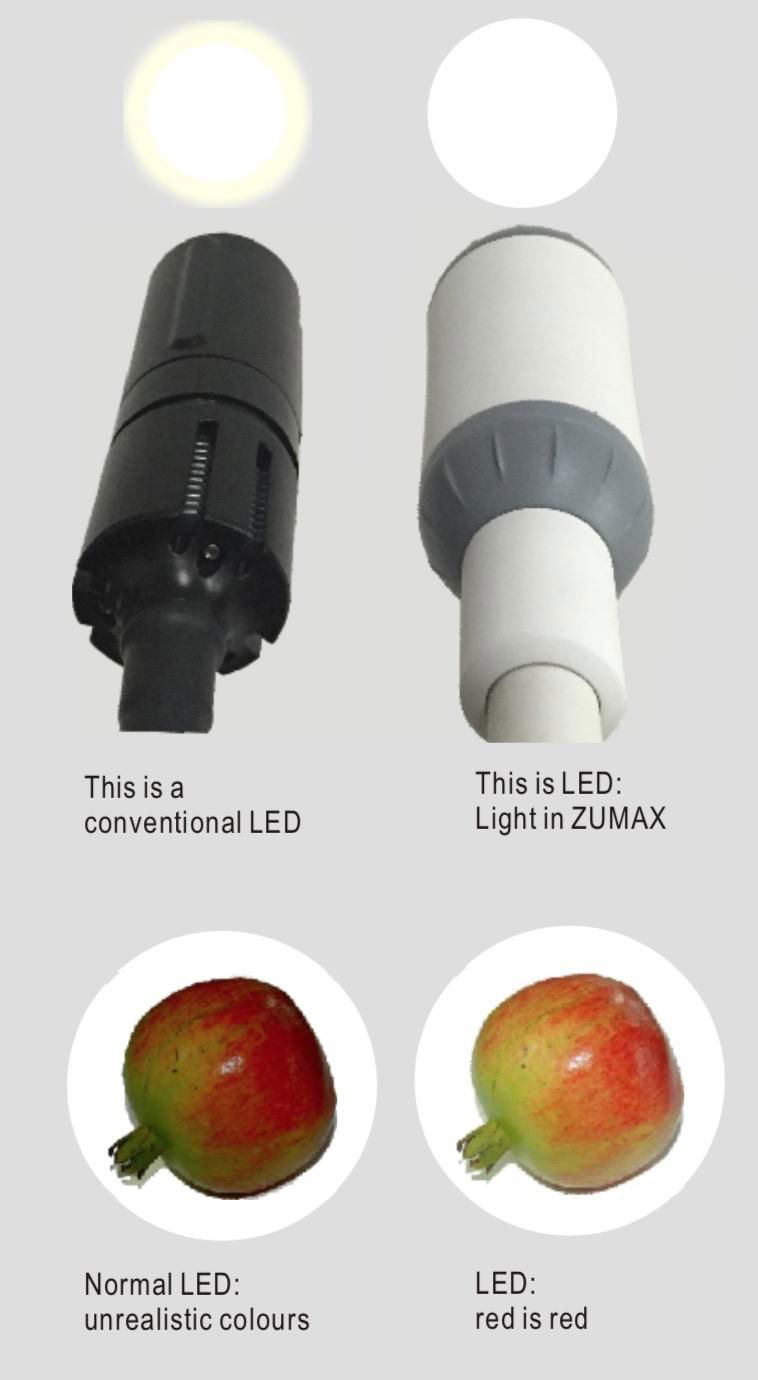 LED Examination Light 5