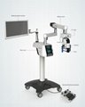 3D Video Surgical Microscope