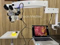 Wetlab Microscopes