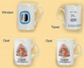 Fine bone china mug collection