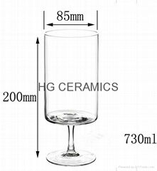 Sublimation Big Juice Glass